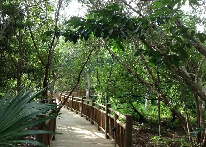 Villa 2bd Grand Luxxe Vidanta Riviera Maya